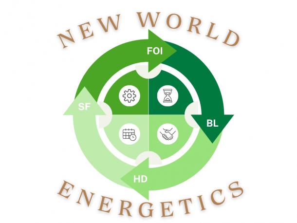 business energetics